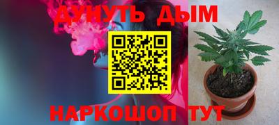 apvp Краснодар