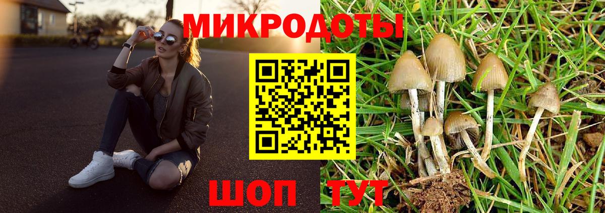 Псилоцибиновые грибы MAGIC MUSHROOMS  Вход с VPN  сколько стоит  Бугульма 